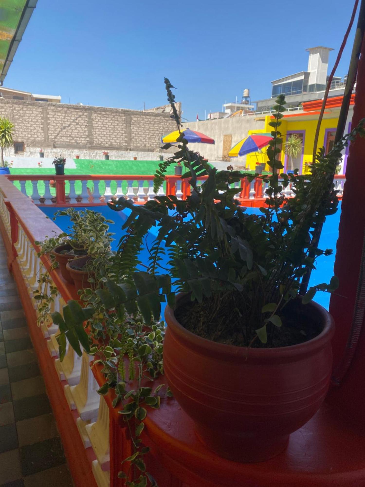 Pusary Hostel Arequipa Exteriör bild